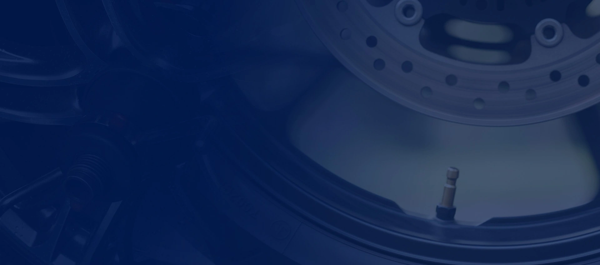 fabricante profesional de núcleos de válvula