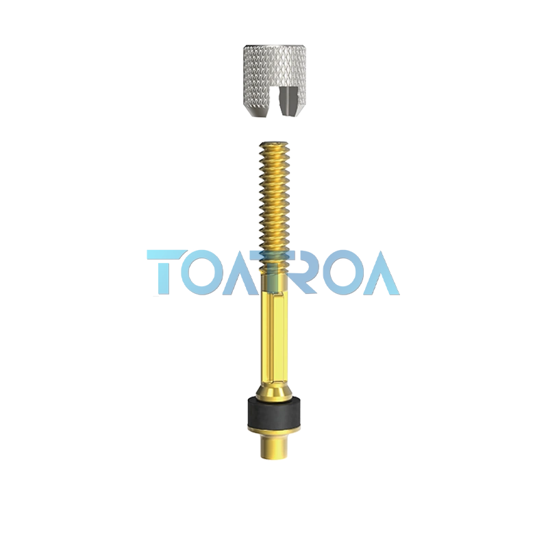 Núcleo de válvula de ciclo