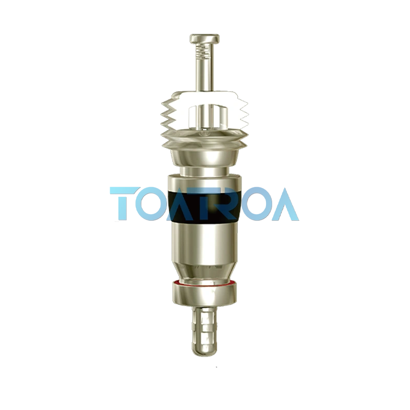 Qué es el núcleo de la válvula?